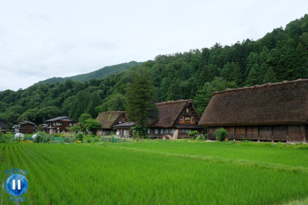 白川鄉合掌村