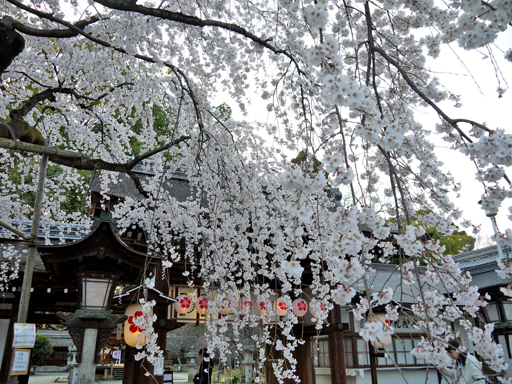 平野神社