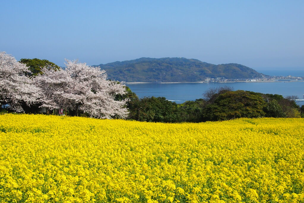 能古島海島公園