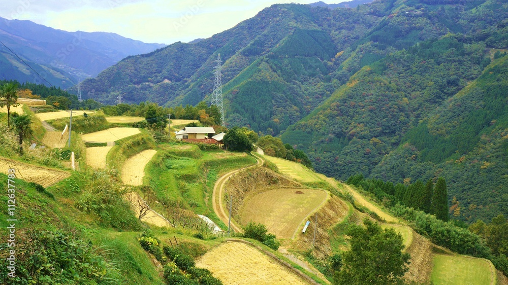 椎葉村
