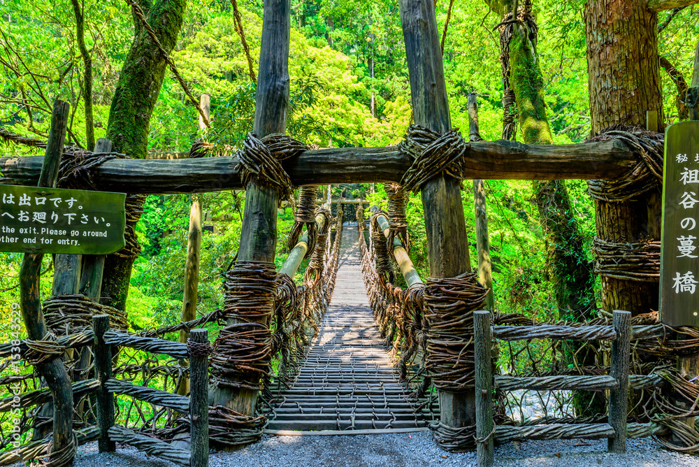 祖谷蔓橋