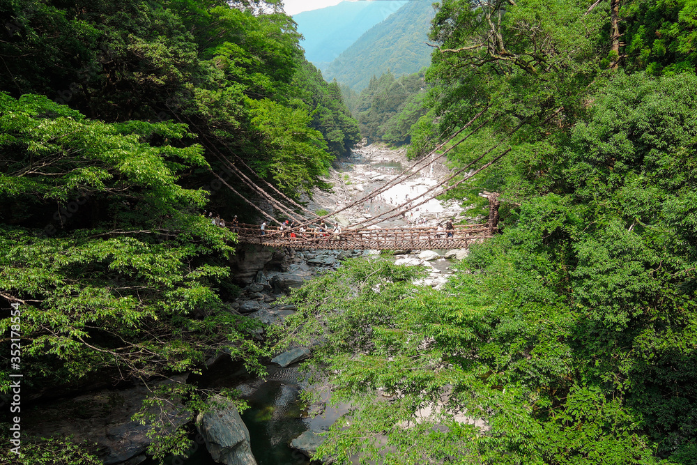 祖谷蔓橋