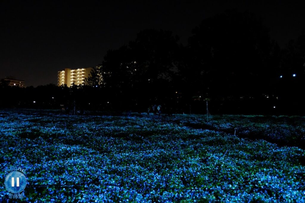 長居植物園 teamLab