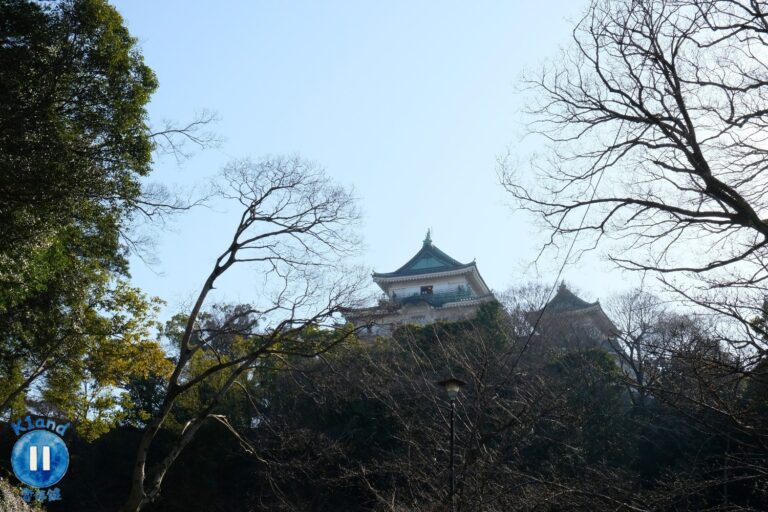 和歌山一日遊路線指南：黑潮市場必看「鮪魚解體秀」、歐風遊艇城與和歌山城