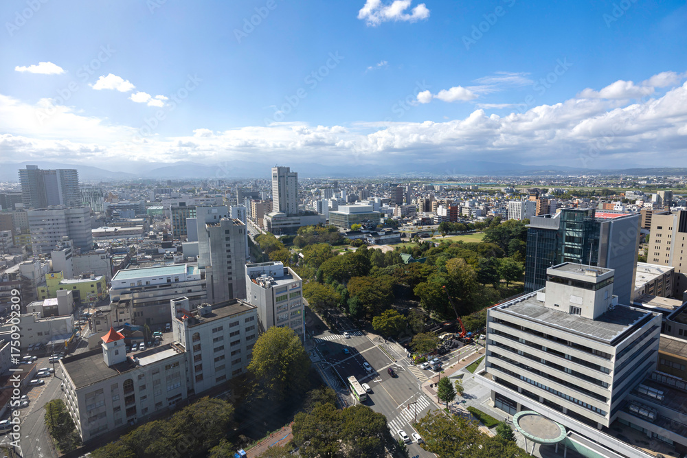 富山市政府展望塔