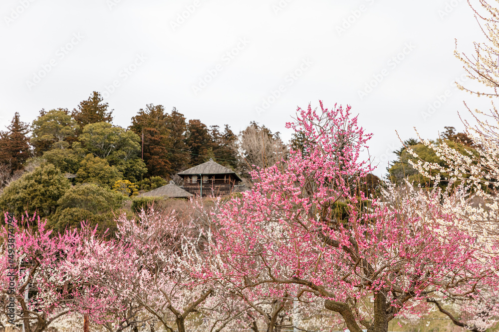 偕樂園